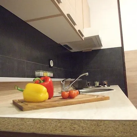 Apartment Centar Maglic Kopaonik
