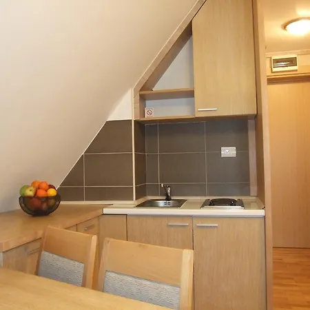 Apartment Centar Maglic *