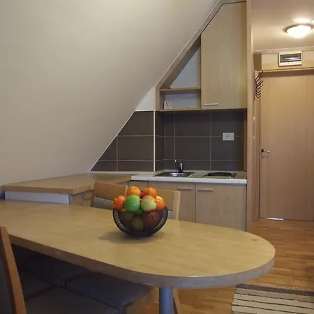 Apartment Centar Maglic