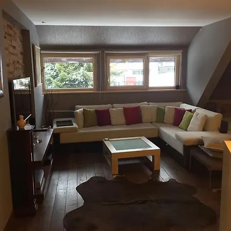 Apartament Centar Maglic *